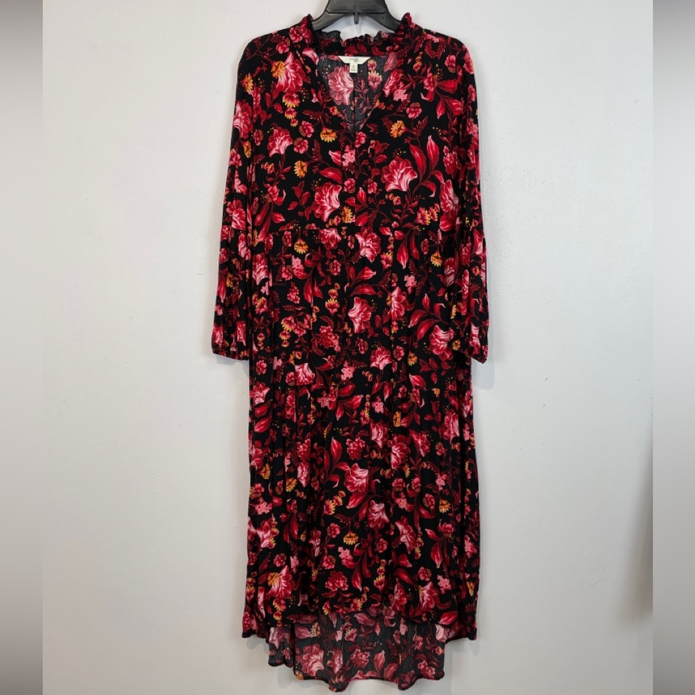 Terra & Sky floral long sleeve dress